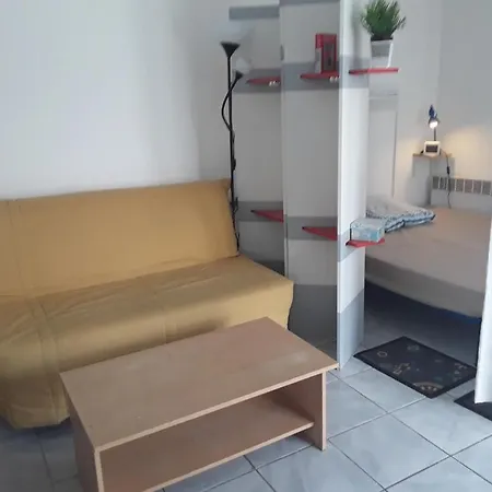 Grand Studio Sur Jardin Nantes Beaujoire B Exterior photo