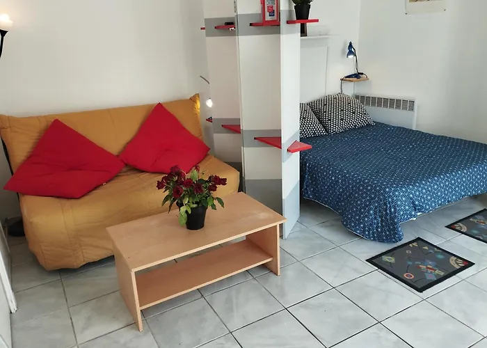 Grand Studio Sur Jardin Nantes Beaujoire B