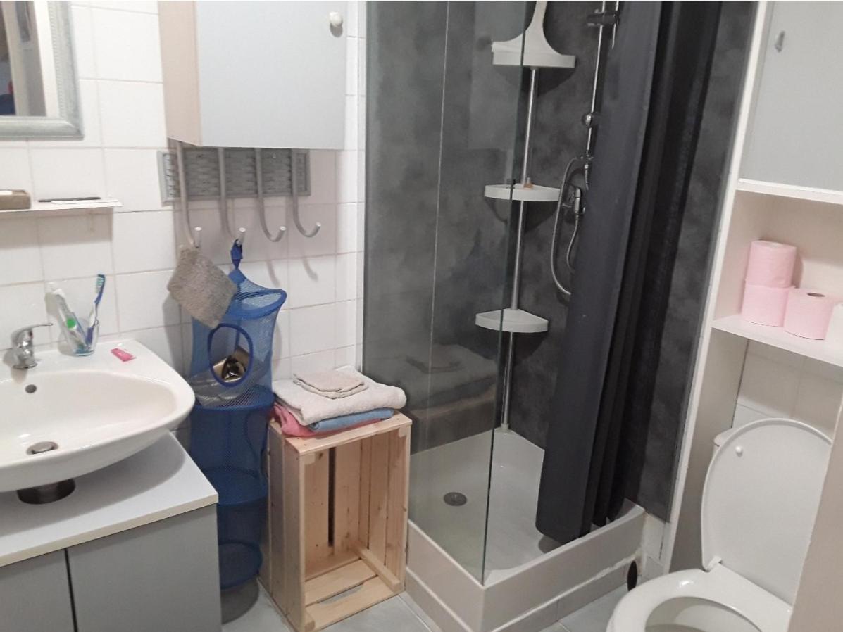 Grand Sur Jardin Beaujoire B Appartement Nantes